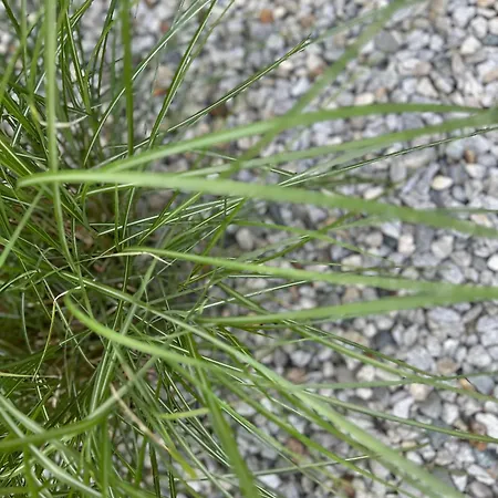 Mount Everest Appartement Sölden
